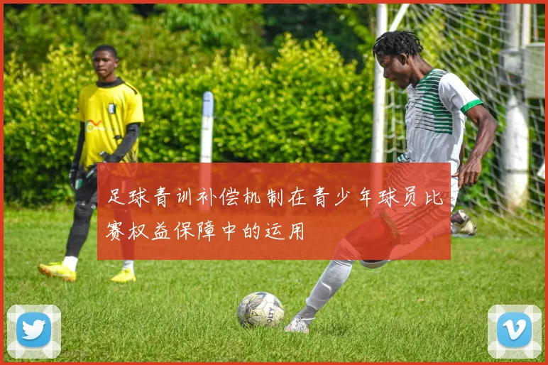 足球青训补偿机制在青少年球员比赛权益保障中的运用