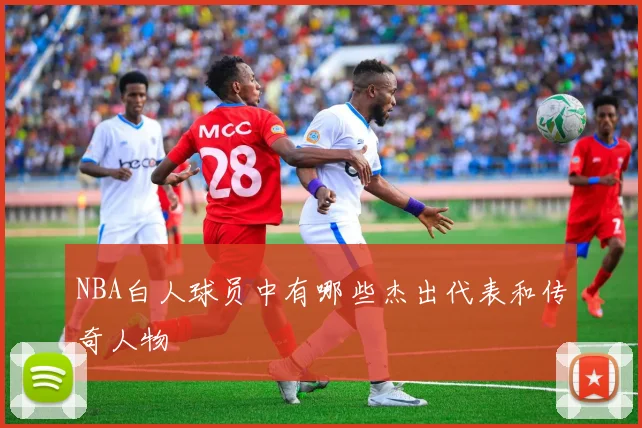 NBA白人球员中有哪些杰出代表和传奇人物