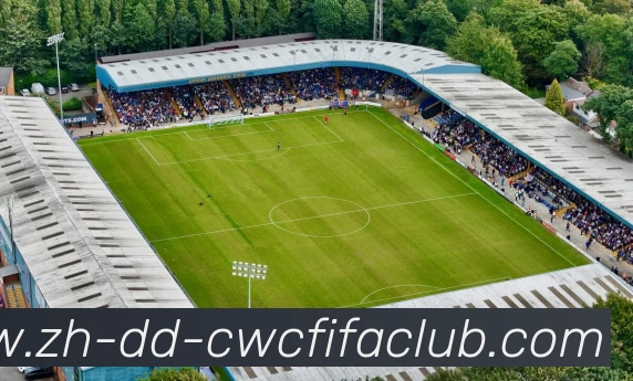 火箭队与太阳队比赛录像的完整回放